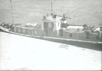 H.M. Delfin