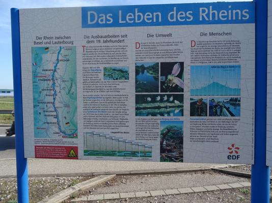 Grand Canal of Alsace