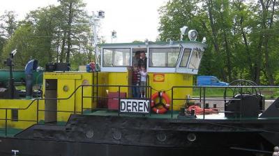 Dereń