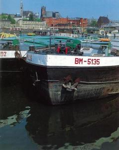 Szczecin, lata osiemdziesiąte