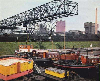 Bazylea 1952