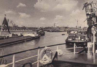 Ren, ok.1955