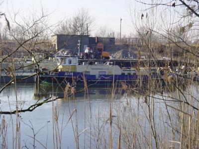 Port w Toruniu
