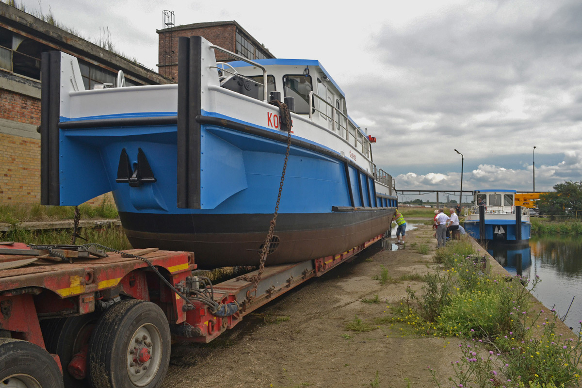 Drapieżniki opuściły gniazda
