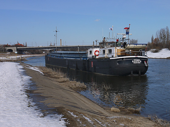 MS Cygnus w Poznaniu