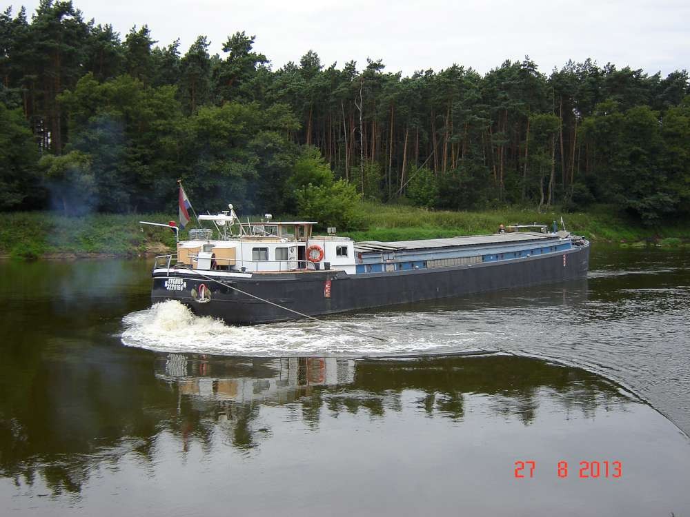 Łabędź wraca do domu