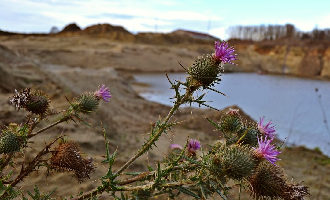 Jedna trzecia kruszywa jest wydobywana w Polsce nielegalnie