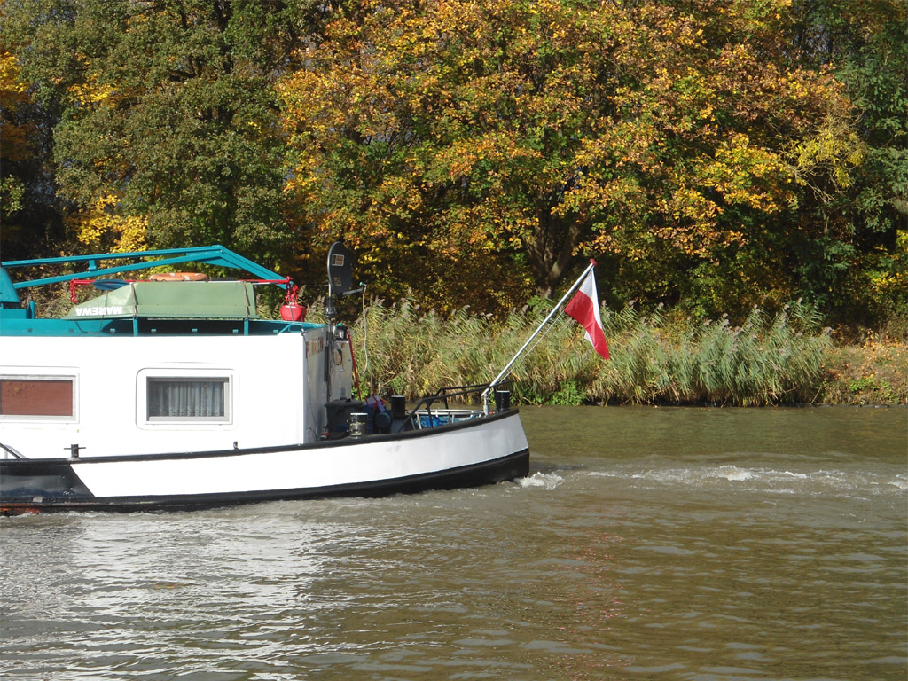 Decydenci powinni zacząć słuchać fachowców, a nie szarlatanów