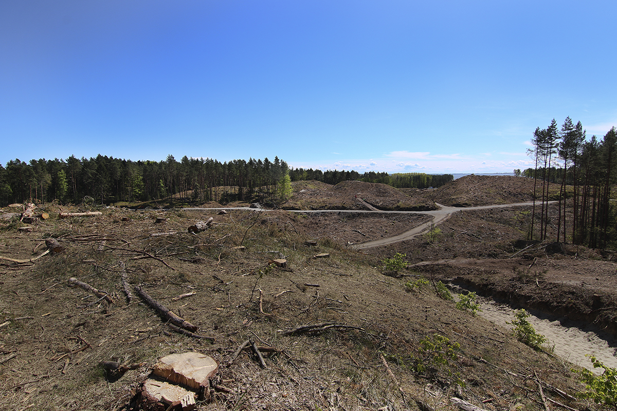 GDOŚ informuje w sprawie przekopu, że potrzebuje jeszcze więcej czasu na decyzję