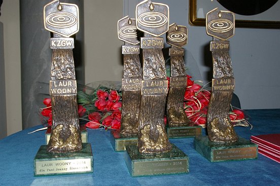 Wręczono Laury Wodne 2014