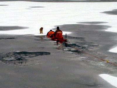 Uratowali psa uwięzionego na jeziorze