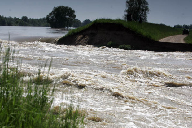 Bezpieczeństwo ludzi jest ważniejsze niż ochrona ptaków
