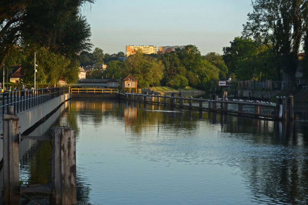 Pani minister chce...