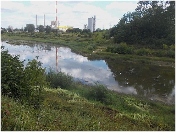 Wisła Warszawska - zarys problemu i jego rozwiązania w aspekcie planów rządowych