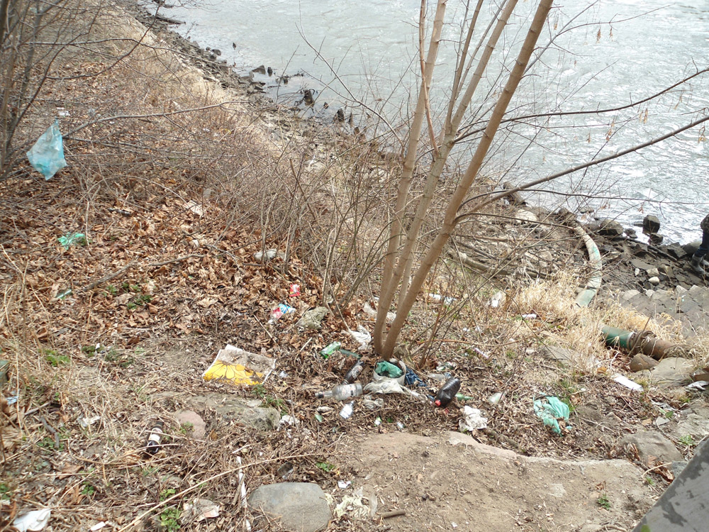 Zielona zaraza atakuje